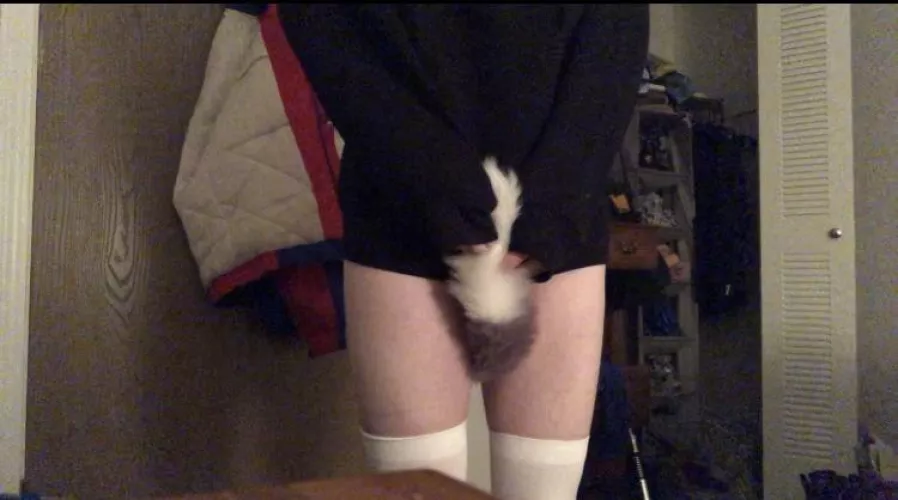 dumb kitty wants attention but is too shy to ask by shampoo-the-whale