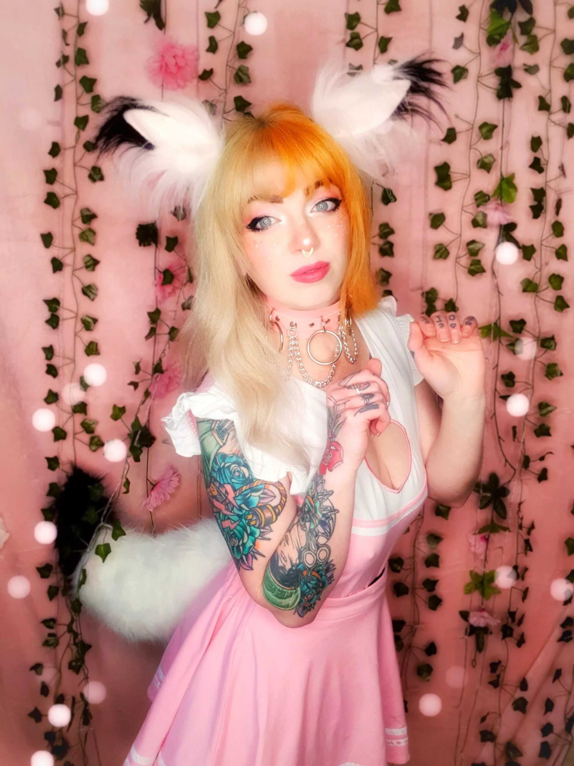 dumb little puppy just needs to be bred posted by thatpinupwitch