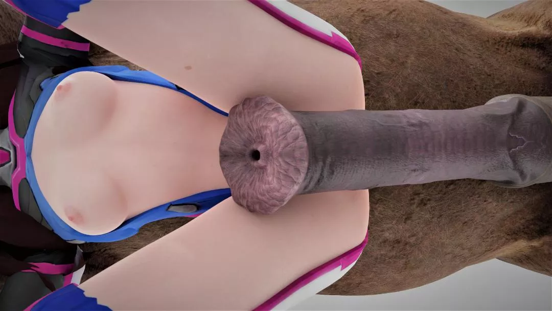 D.va and horse underview (wearabletraps) posted by WearableTraps