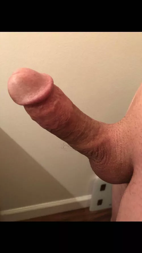 Dying to breed by incestbro777