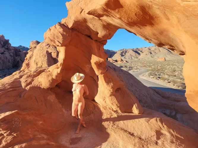 Early bird catches the warm... light🌞 by BareLeiaRose