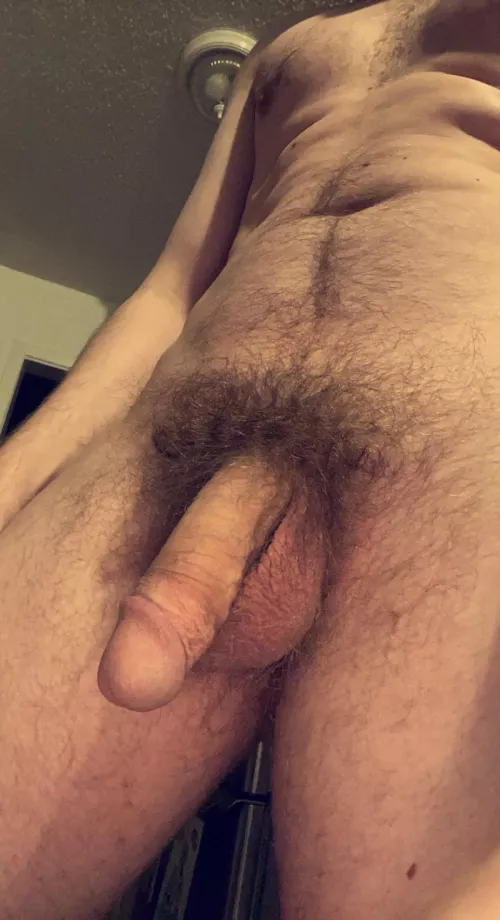 Early morning bush by tat246