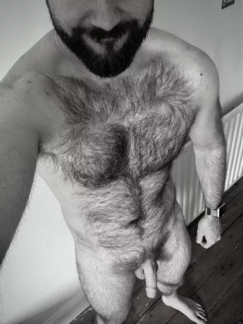 Easter Fur⭐? by shriekwainscot