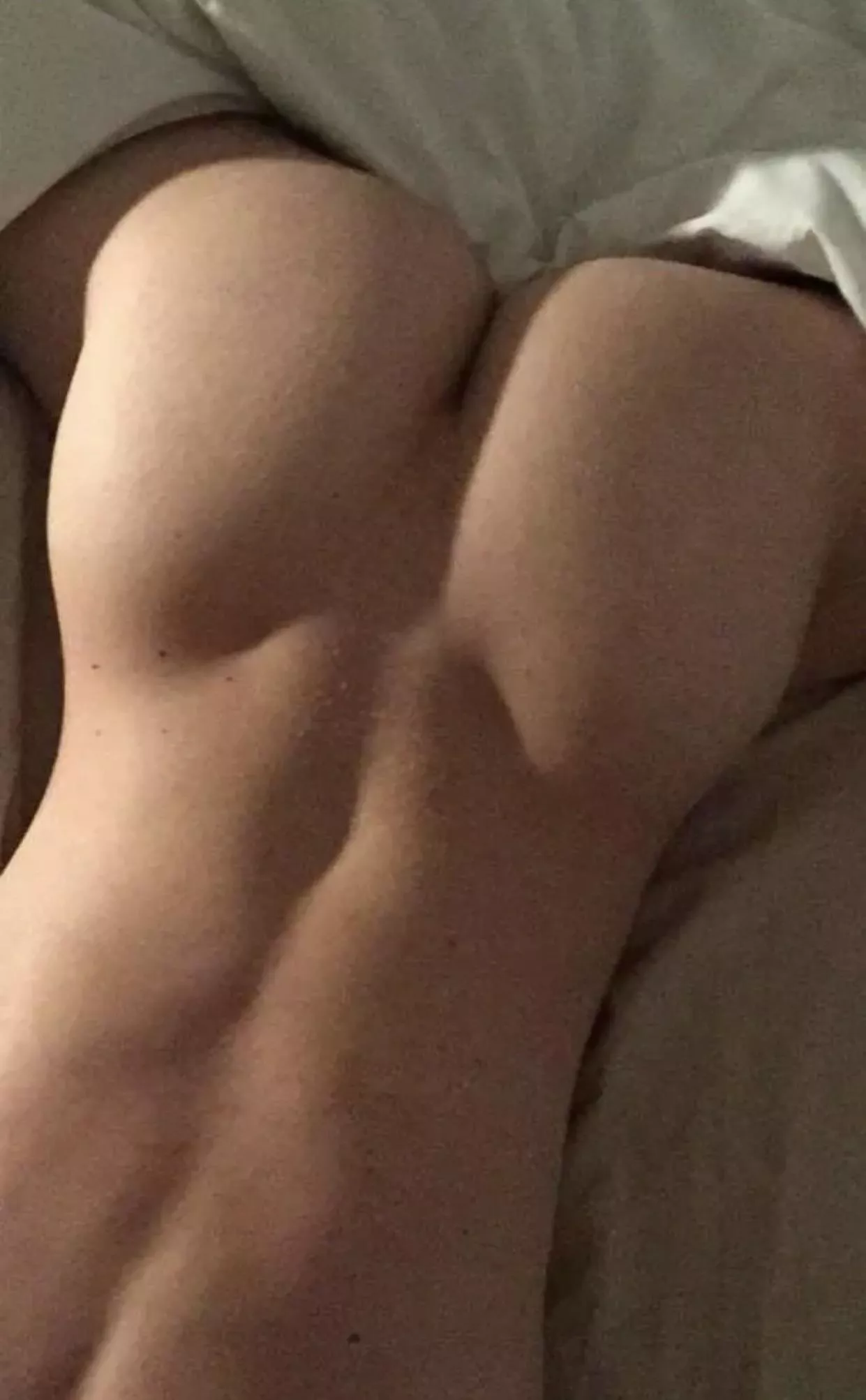 Eat up posted by Huge-Comfort-8999