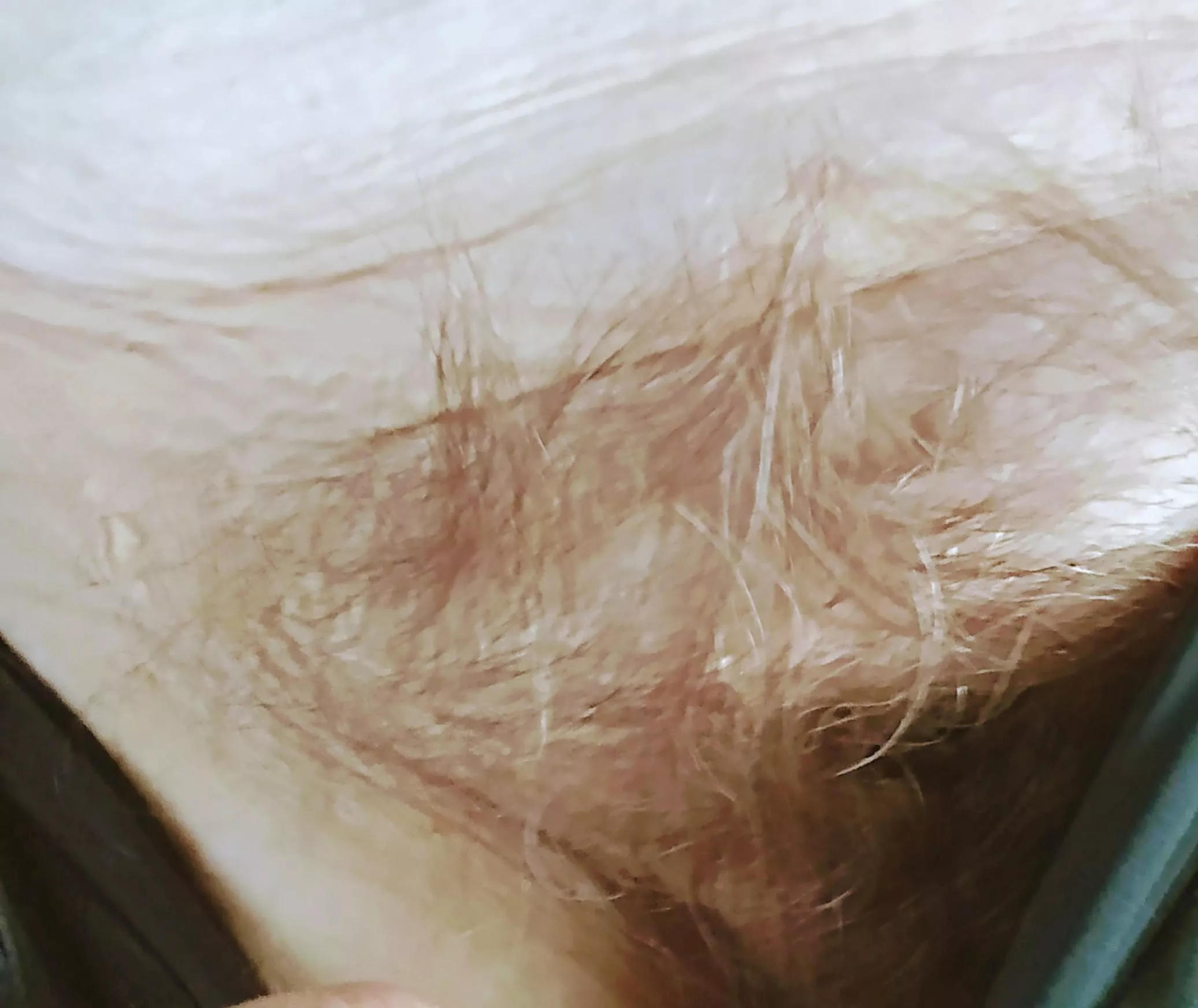 eatit posted by Western_Inflation_28