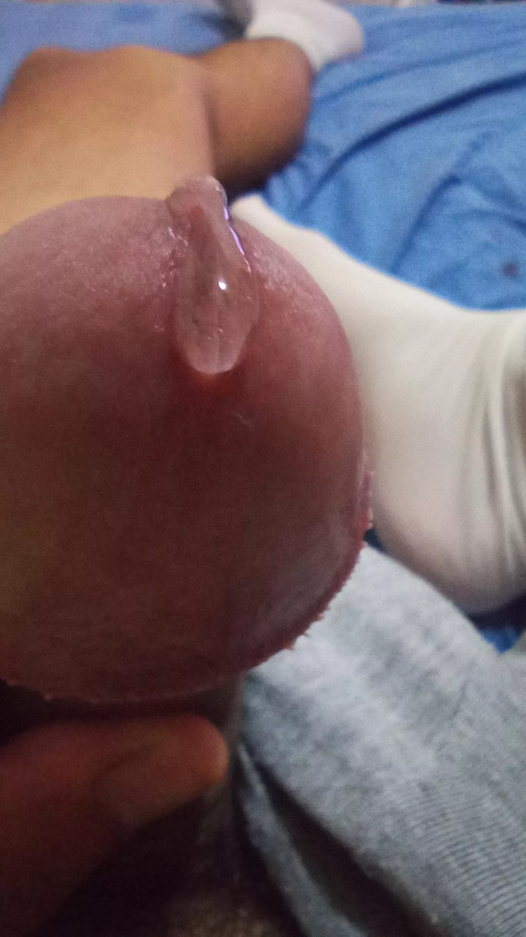 Edging day! :D posted by perimil