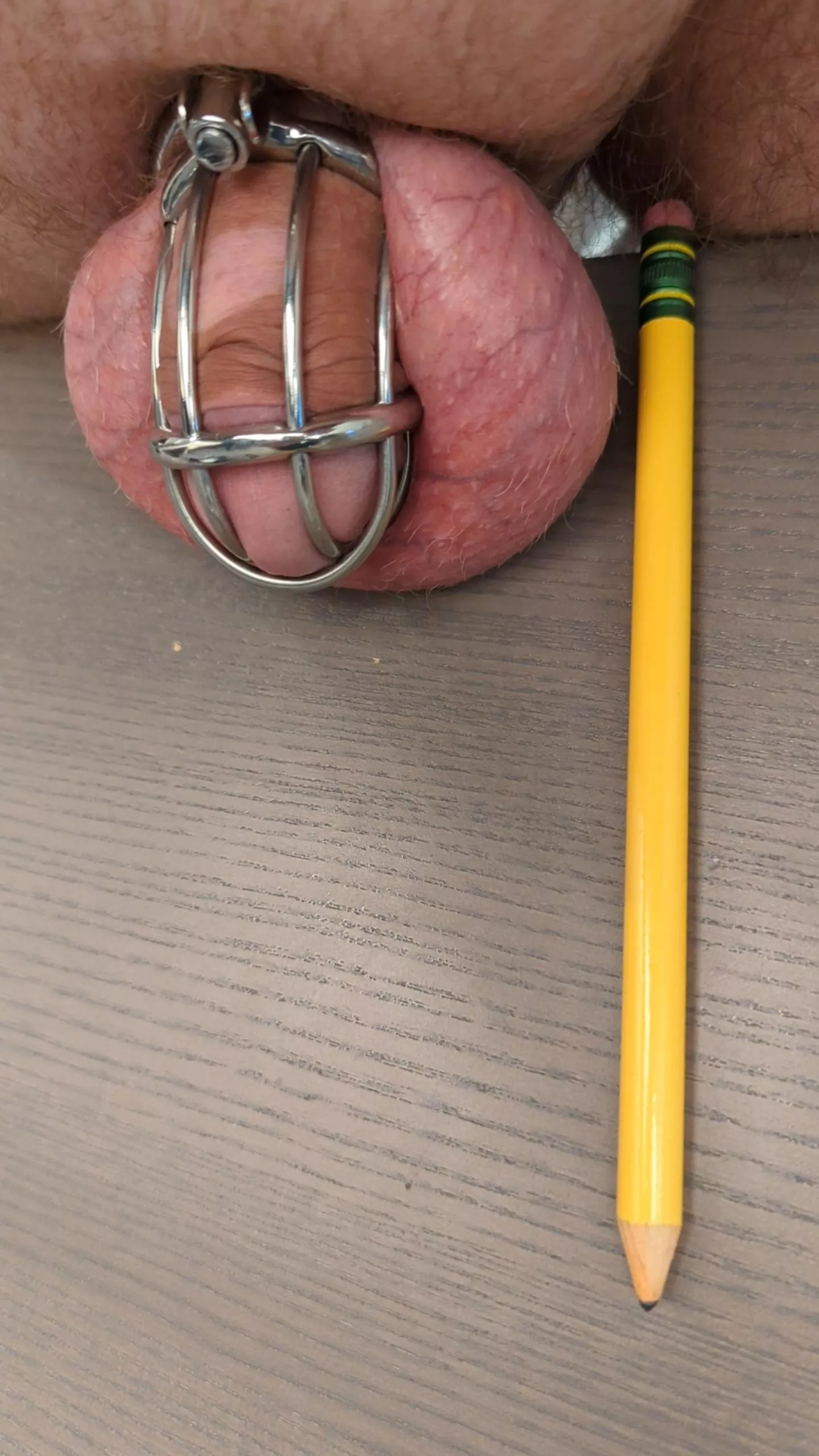 Eight days so far, 12+ remaining posted by womblot