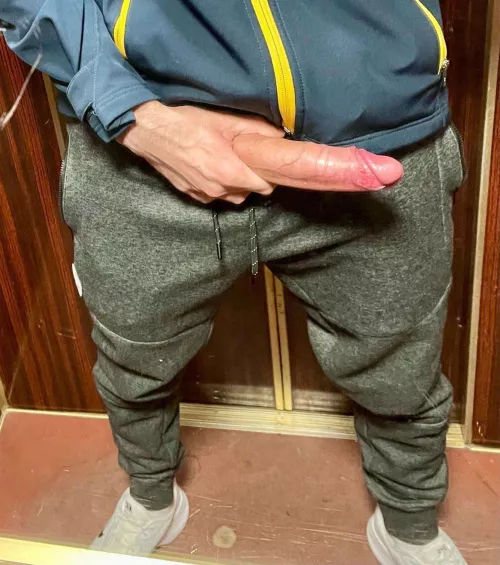 Elevator 🛗 by Mats248248