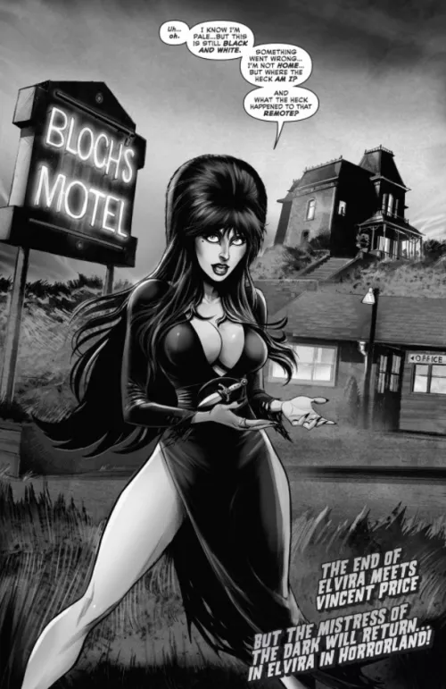 Elvira in Black & White [Elvira Meets Vincent Price #5] by lordhater1