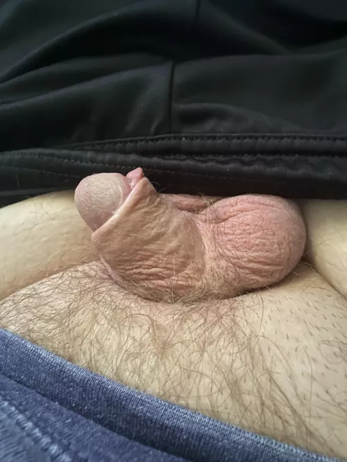 Embarrassingly small [32] by Smldckbiboi5