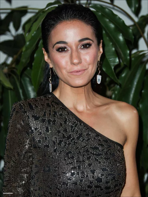 Emmanuelle Chriqui by throwaway_191019