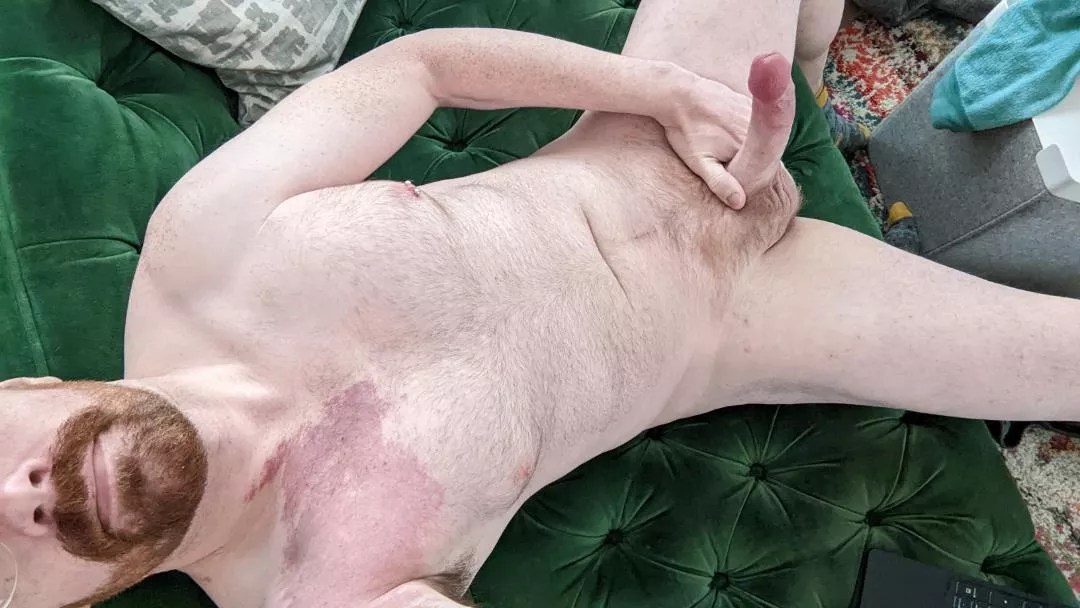 enjoy a bit of ginger posted by meepo_2017