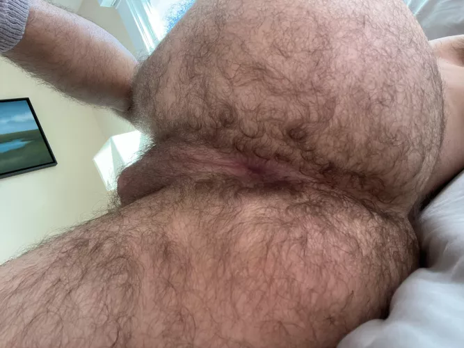 Enjoy by nostromo1803