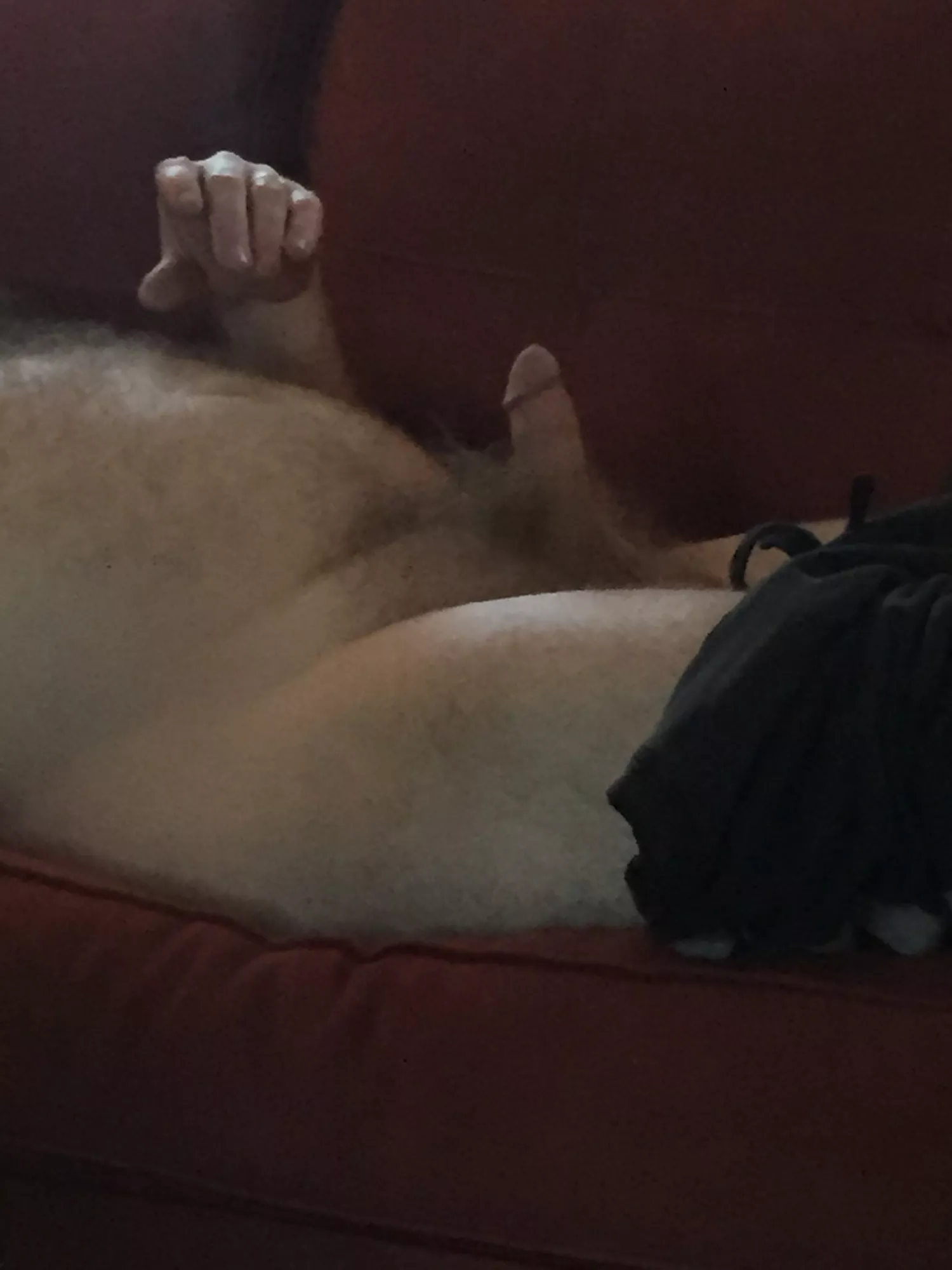 enjoying couch time posted by PupNimrod