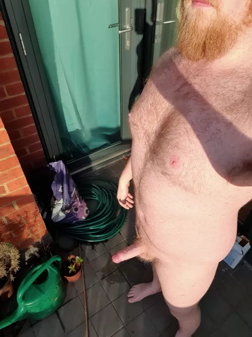 Enjoying the early morning sun. by callumh6