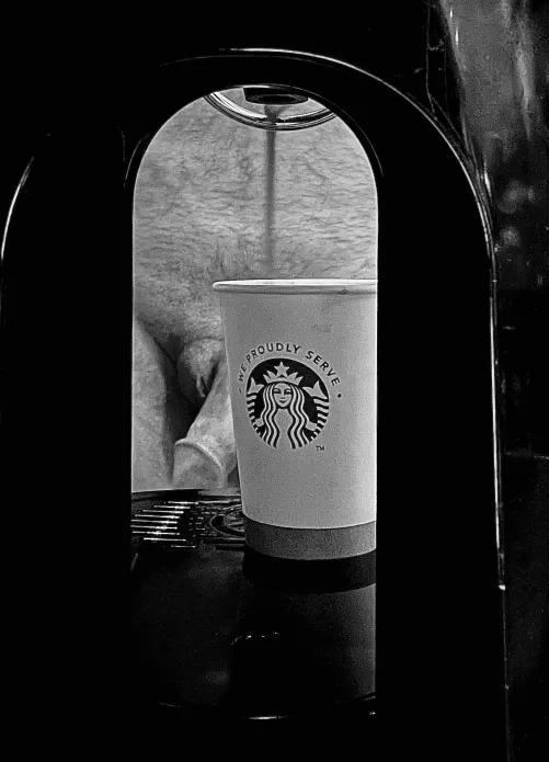 Enjoying the M lounge part II by mufasjg