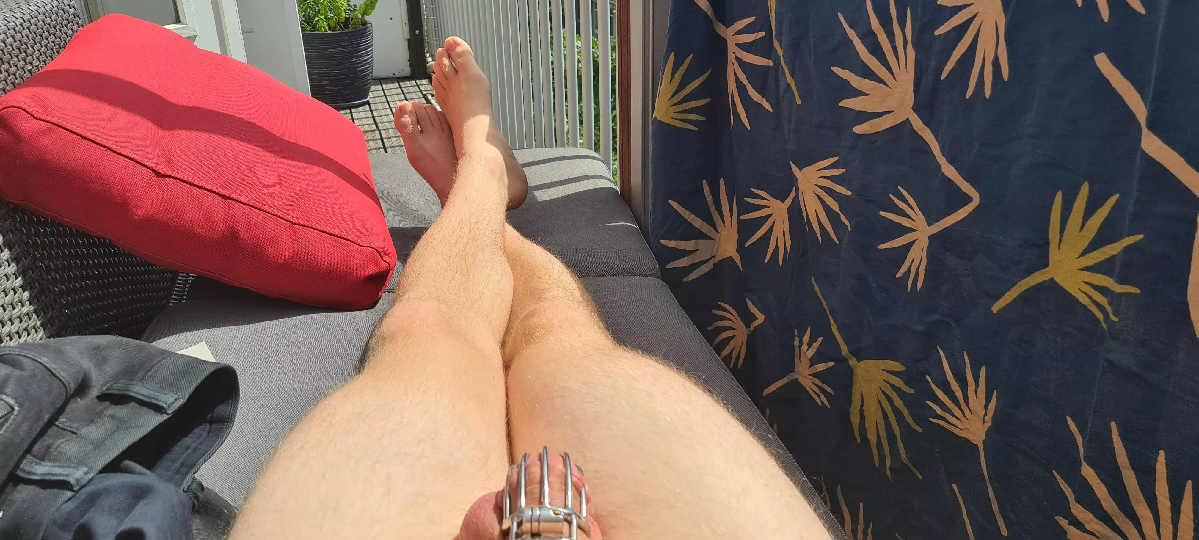 Enjoying the sun with only the cage on posted by sxsdv1
