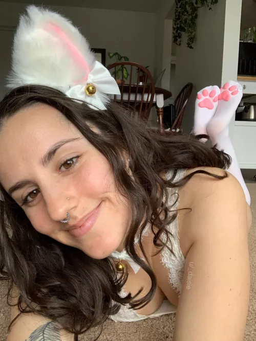 even cute lil kittens can take a pounding [f] by _daisie