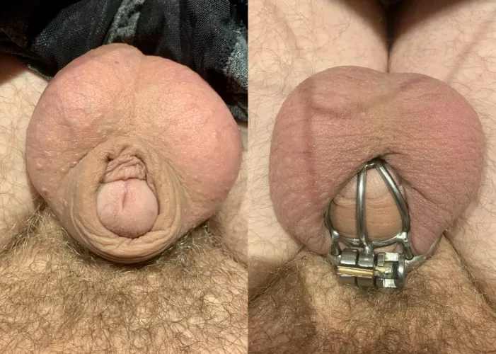 Even when I’m uncaged it knows to not get hard by superinterested13