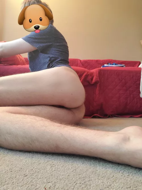 Evenings in by rolloverrevollor