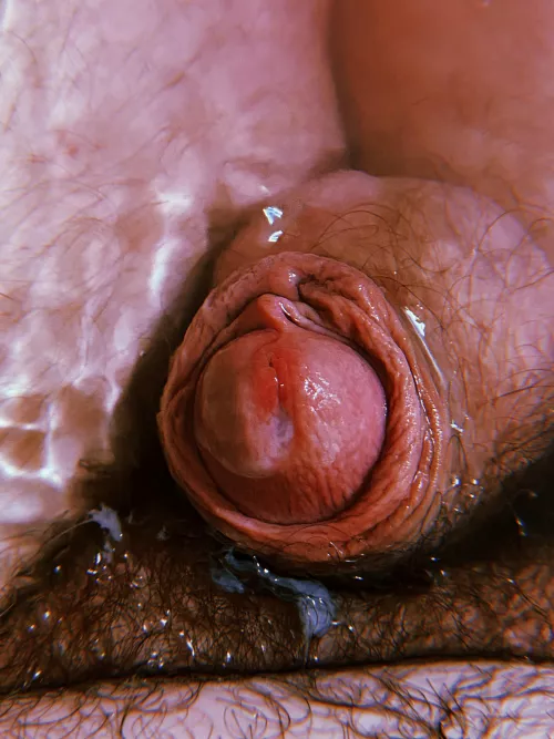 Every post on here is huge cocks and cumshots. What about my tiny little micropenis that can only cum a few drops? by RPG_Nerd7777