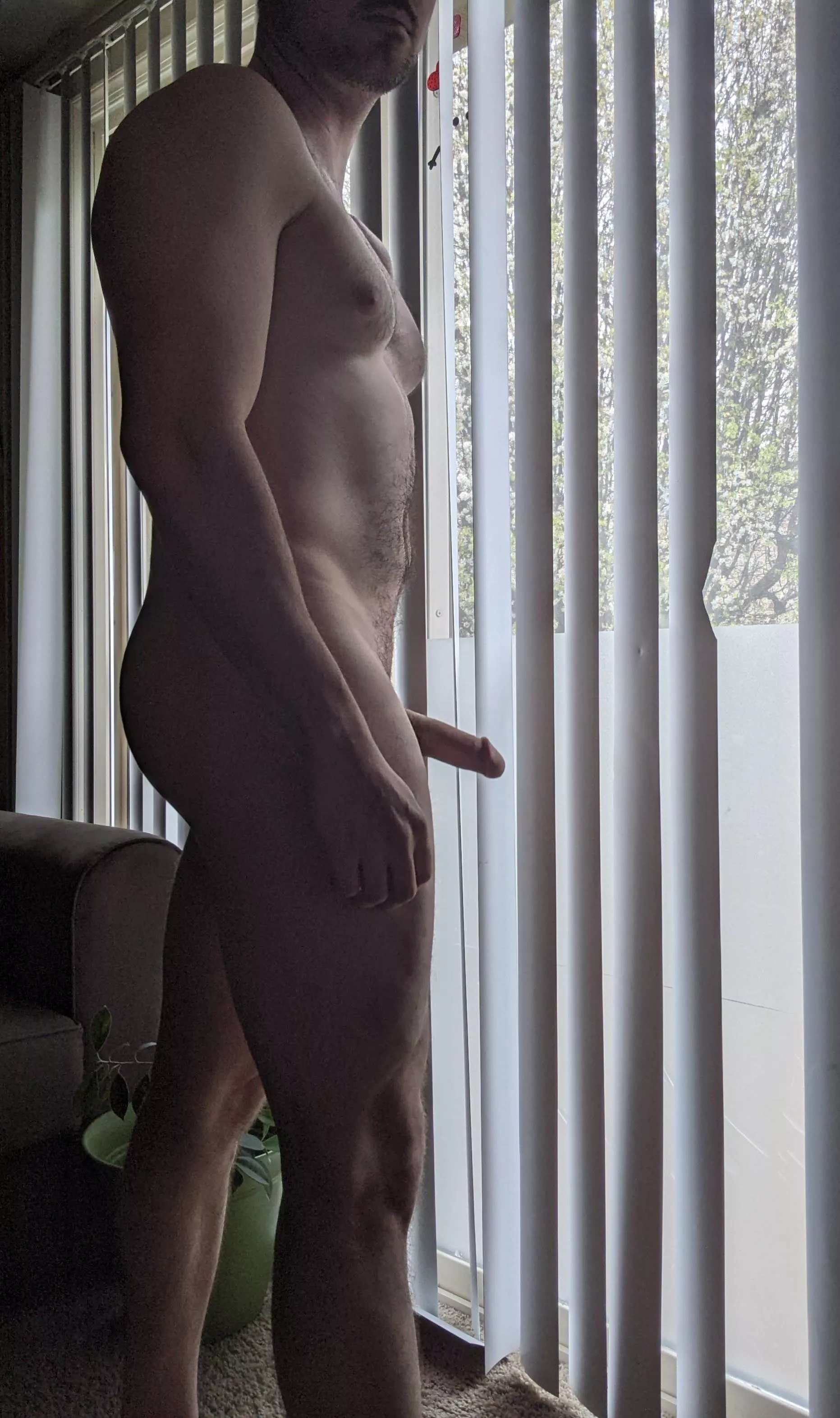 Everything the light touches... posted by Horny_Hufflepuff0389