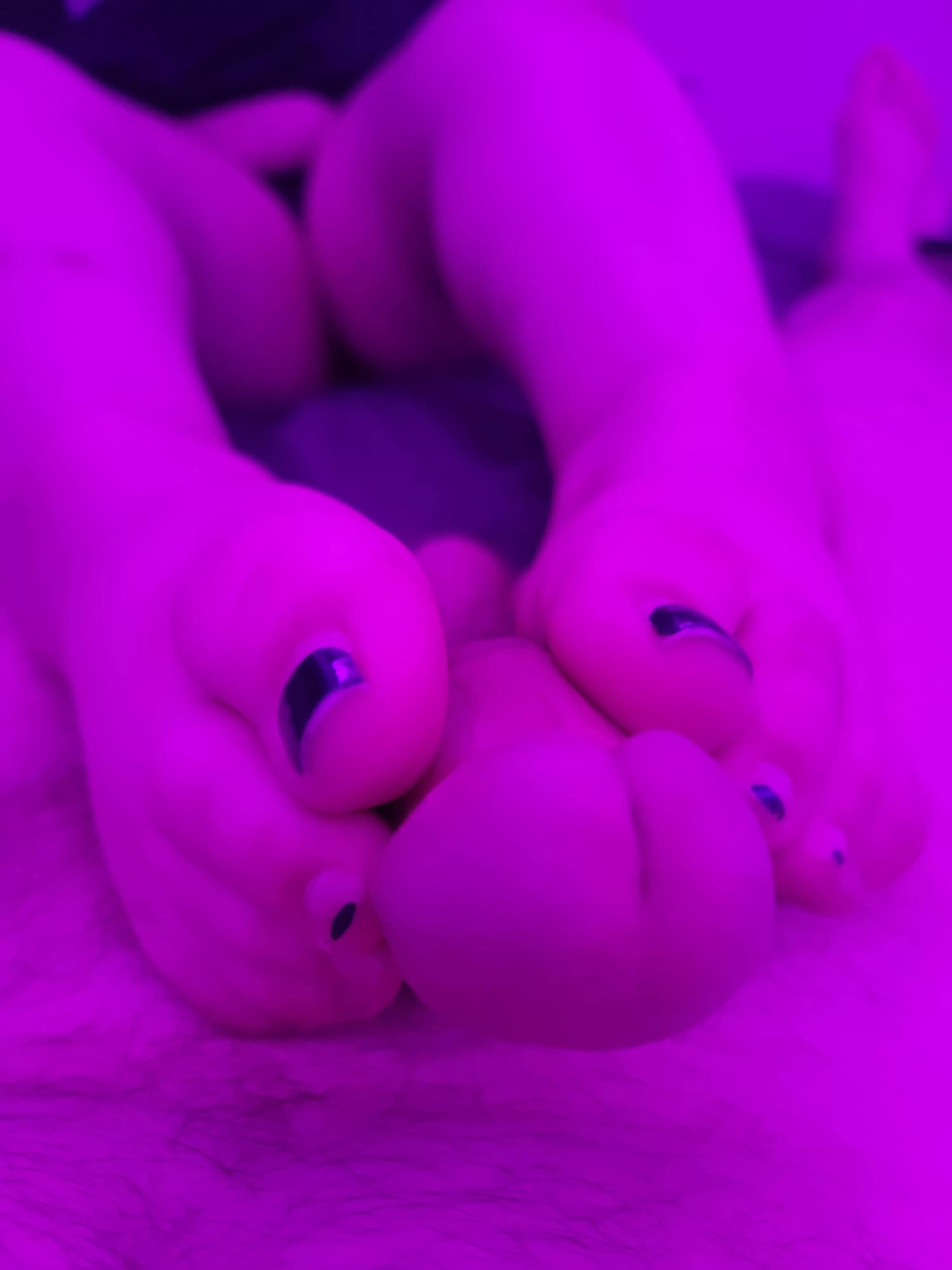 Expect nothing but the best from my Beanie Girl posted by MeanBeanFlickr