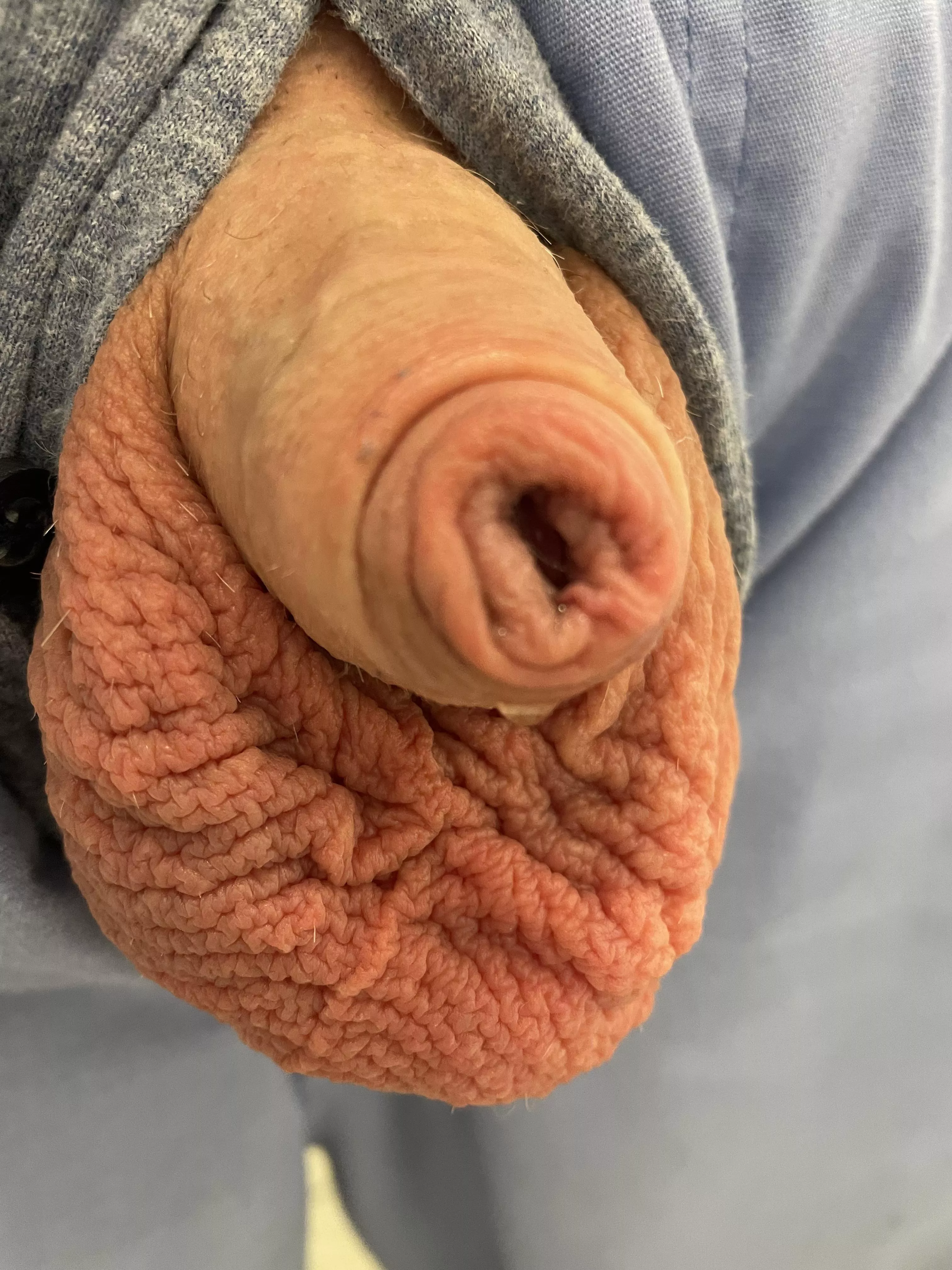 Exposed at work (40) posted by Friendly-Jacket-1793