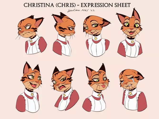 Expression practice ~ Art by me (@Arts_Galinn on Twitter) 🍪 by Galinn-Arts