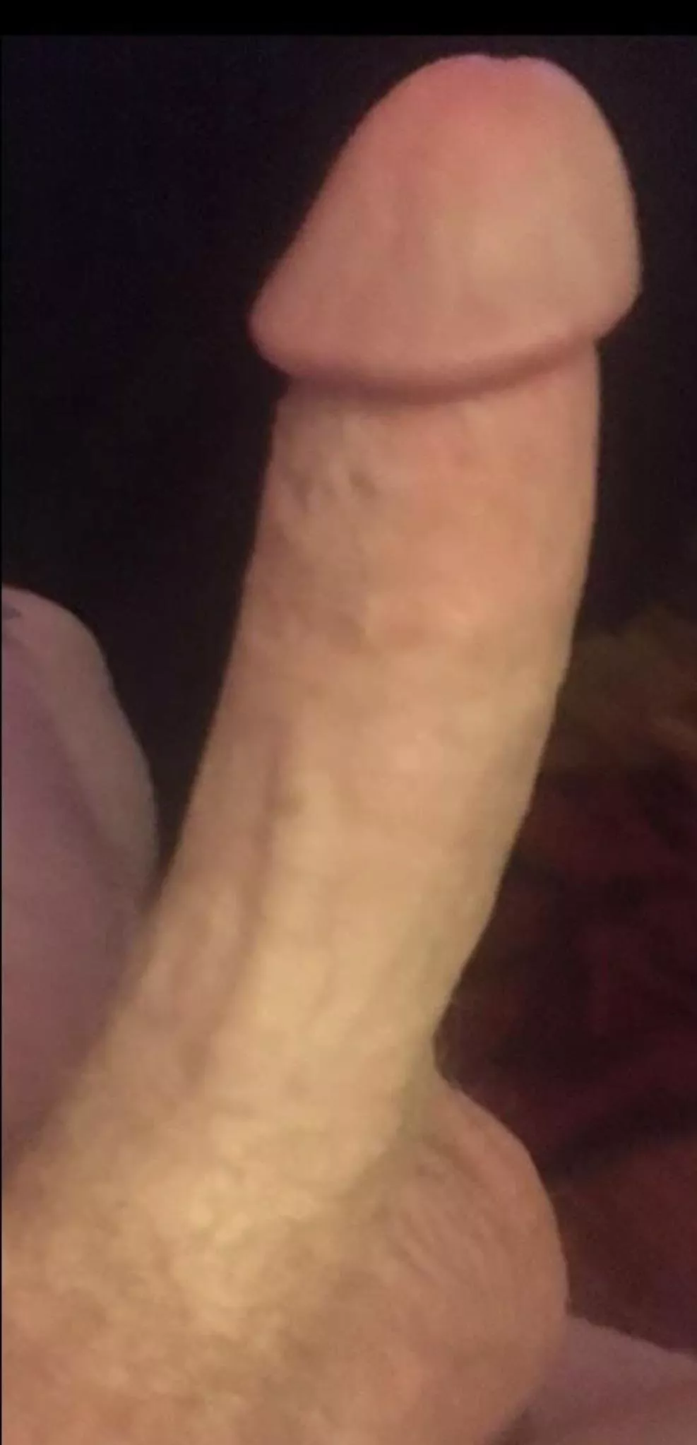 EXTRA MEDIUM! posted by Artisdickmonster