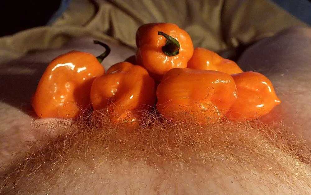 Extra spicy [oc] posted by avanored