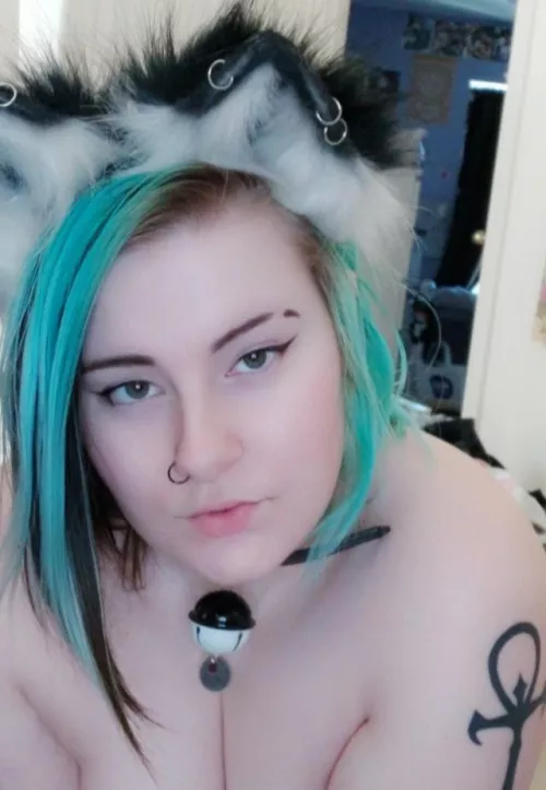 [F] 20 can you make me purr? (Kittenplay) by rainbowstorm130
