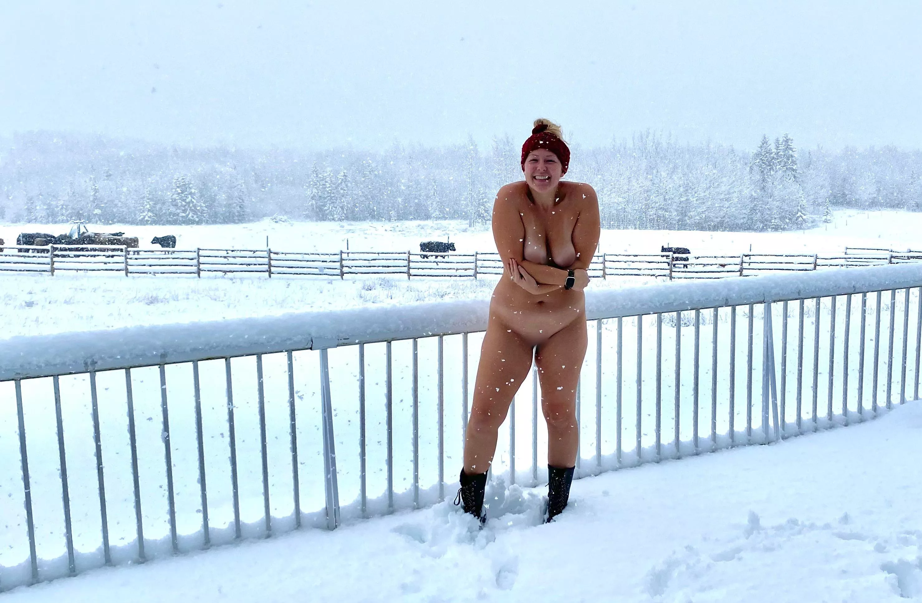 [f] Atleast the cows are warm 😆🐄 posted by ProfessionalTear6088