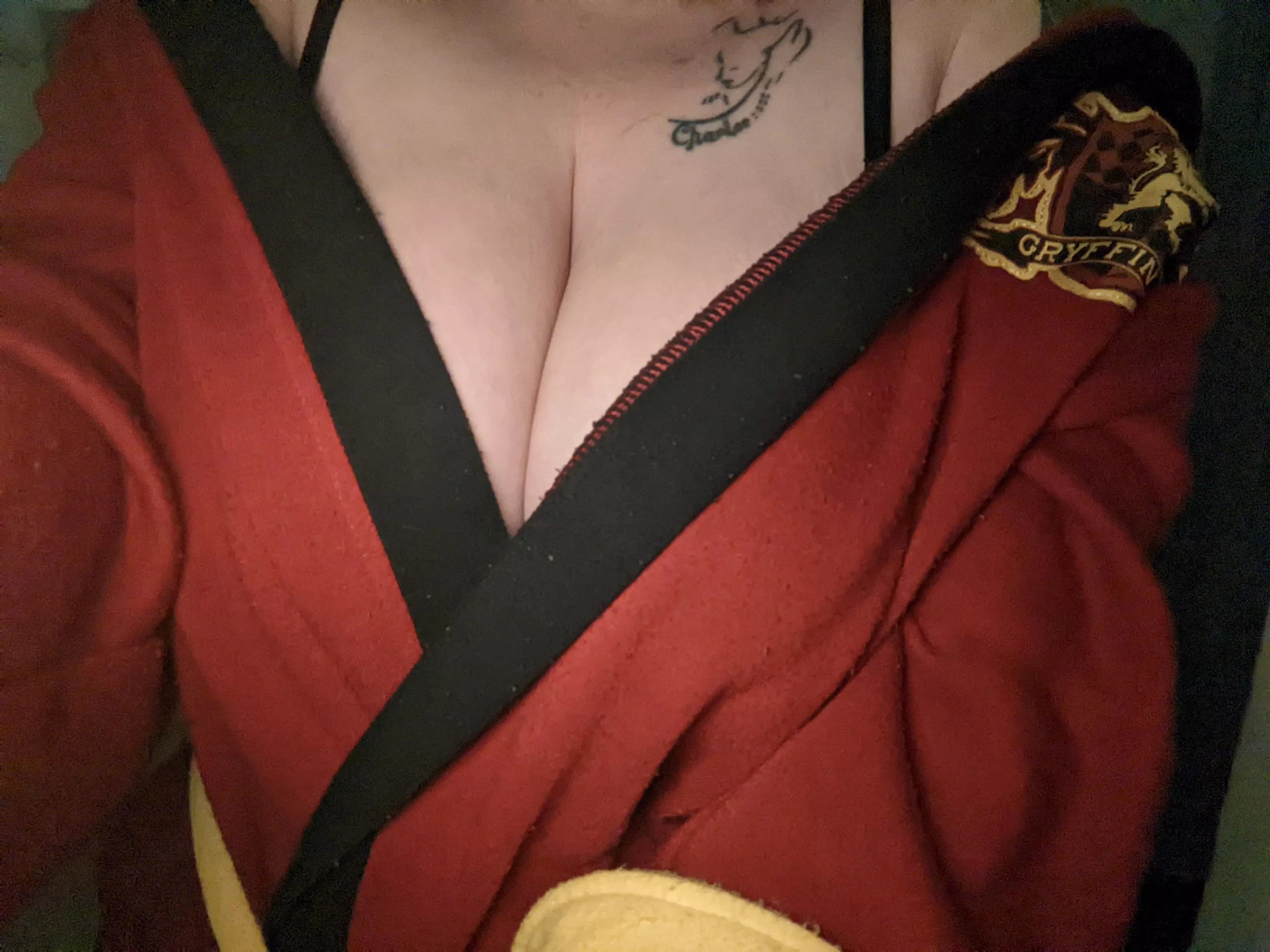 [f] team Gryffindor all day posted by kelsiekitty