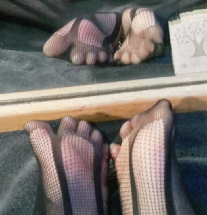 (F) these are my favorite socks 🦋 posted by vee-nsfw