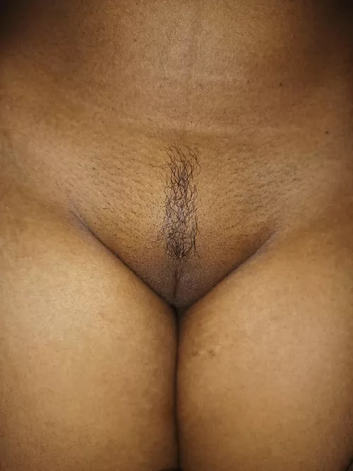 \|/ [F] by snowcroissant