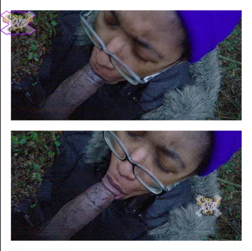 [F]🌲🌲🌲🌲🐿️ by Cm3_u