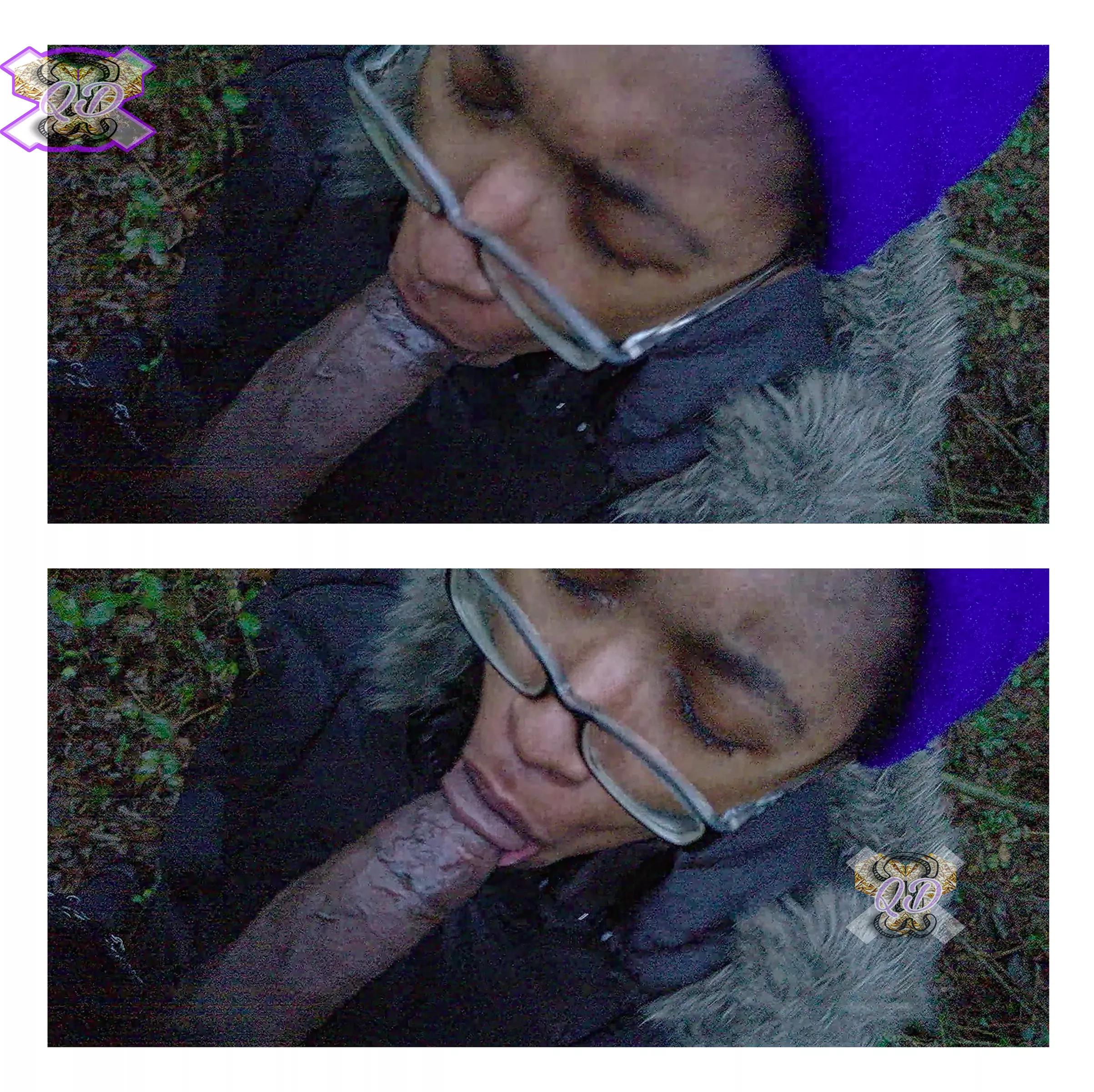 [F]🌲🌲🌲🌲🐿️ posted by Cm3_u