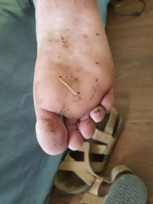[F] walking around on the farm got my feet all dirty can I grip your throbbing cock with them still? by Dalia_n_babetheoxxx