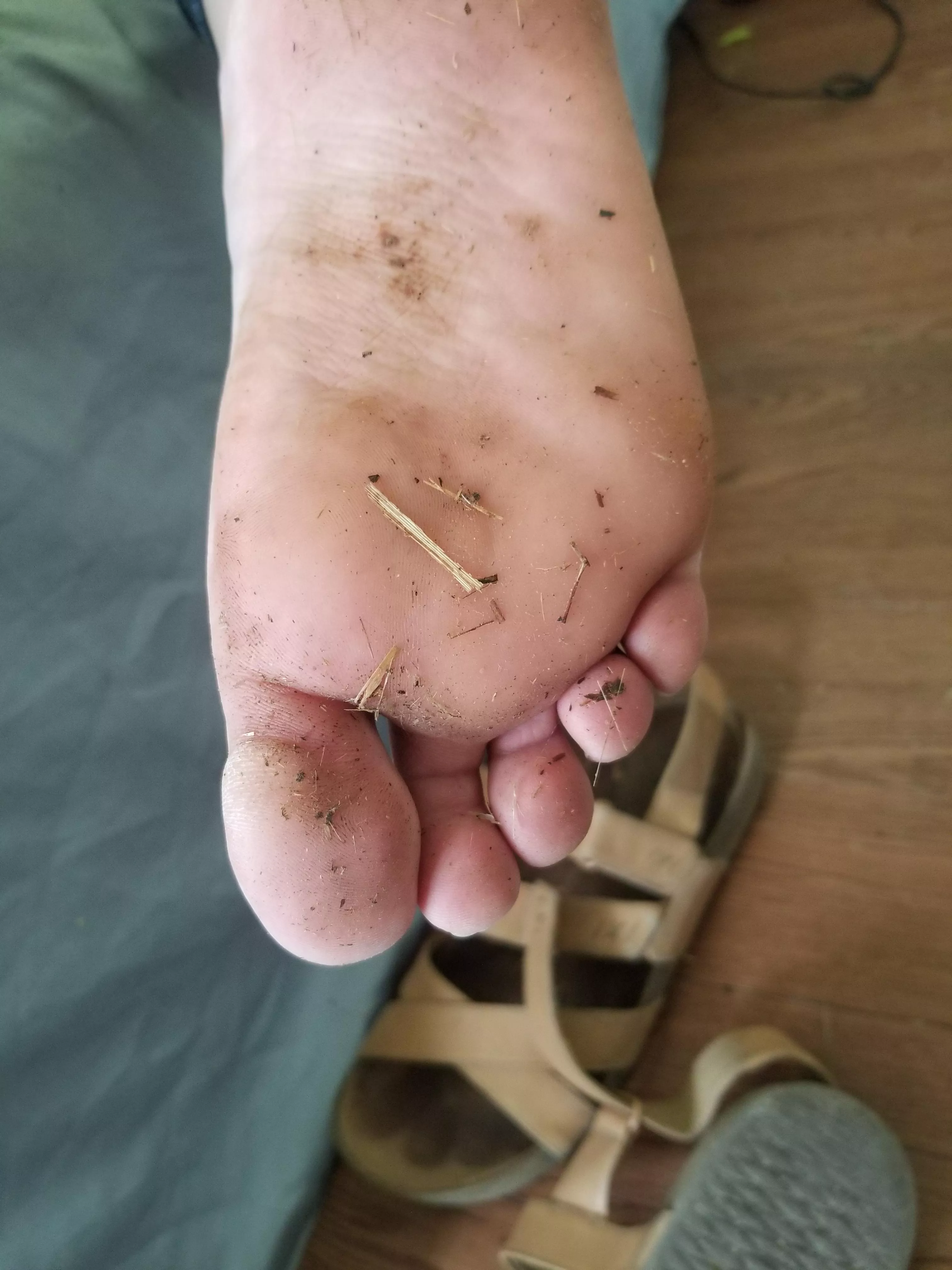[F] walking around on the farm got my feet all dirty can I grip your throbbing cock with them still? posted by Dalia_n_babetheoxxx