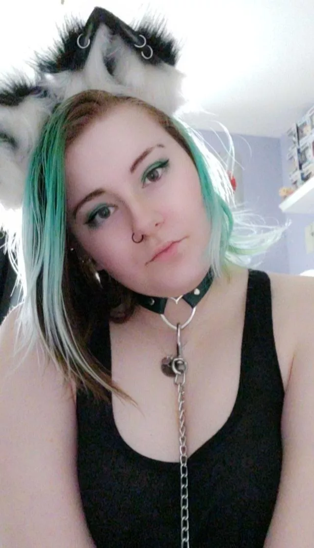 (F20) can I be your cat girl?! posted by rainbowstorm130