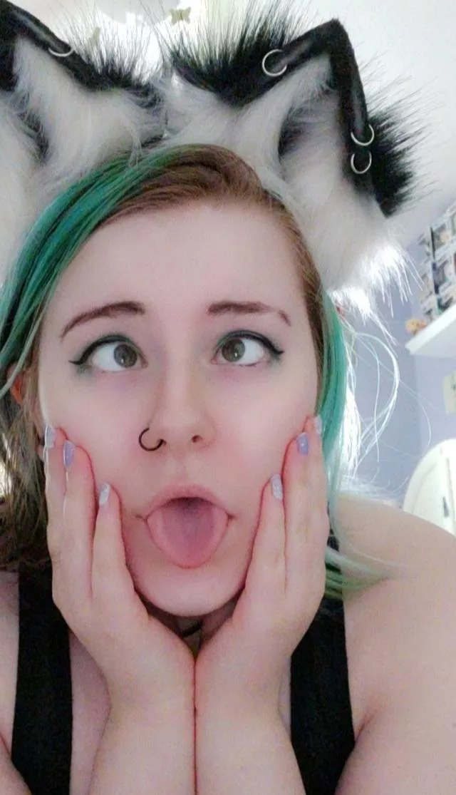 (F20) Happy St. Patrick's day! posted by rainbowstorm130