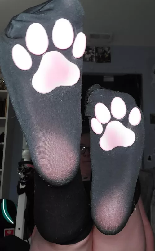 (F20) how about toebean tights?! by rainbowstorm130