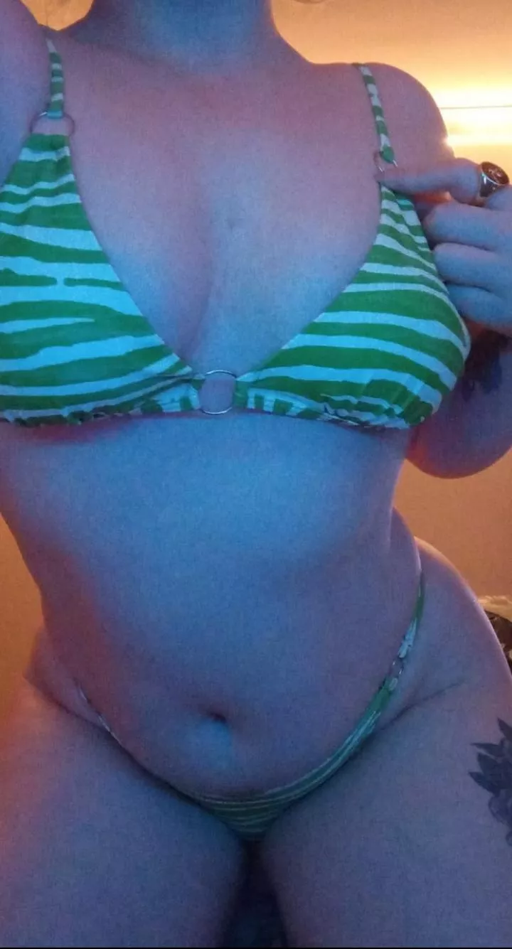 F22- do you like a chubby girl im a bikini? posted by Fun-Tennis6792