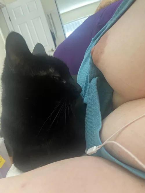 Face to face with my boobs by Stillinmetamorphosis