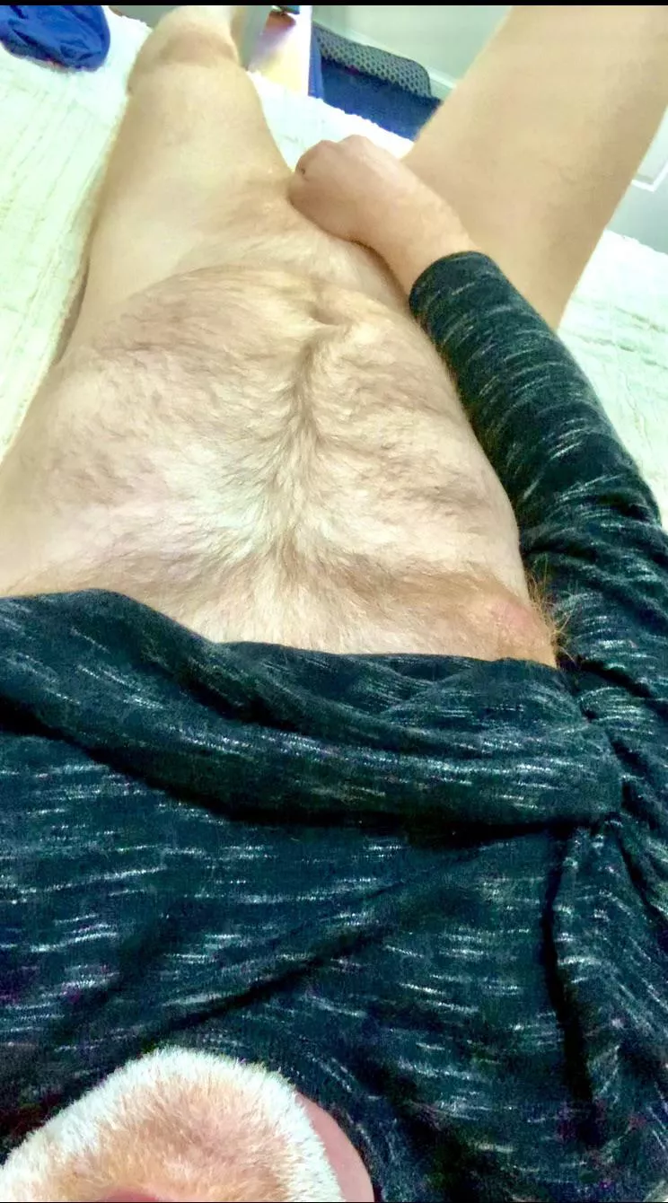 Fair-skinned and Fuzzy. All for you. posted by ZelaznyFan68