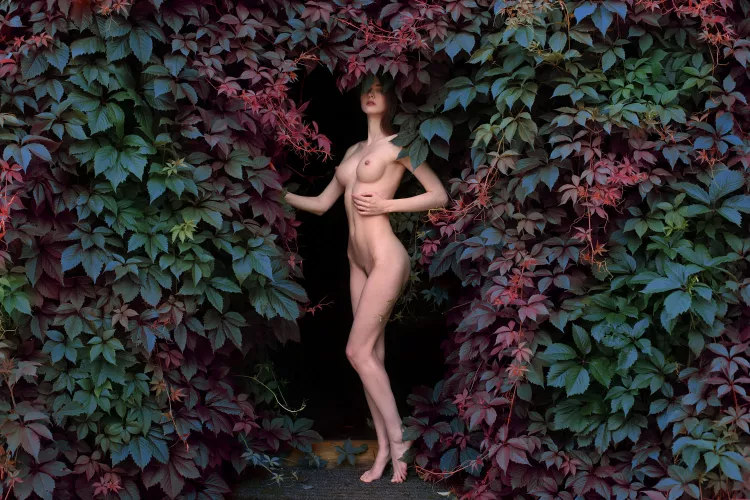 Fairyland Gates by mr__everhard