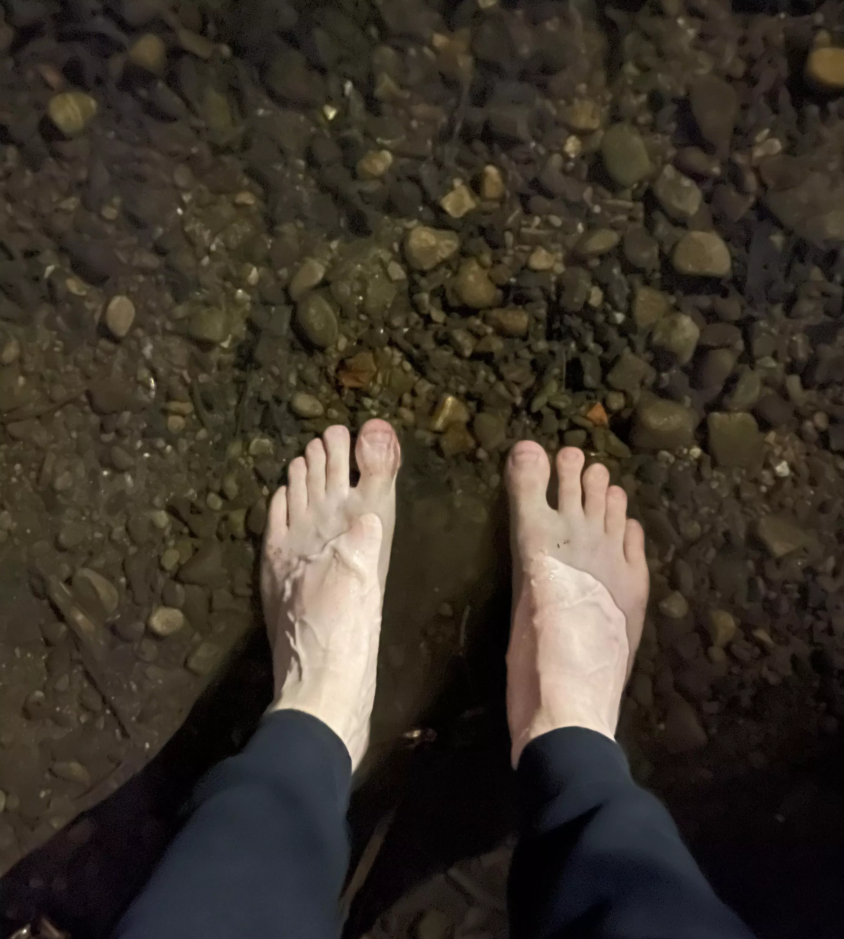 Fancy a dip 💧 posted by Traditional_Way_4436