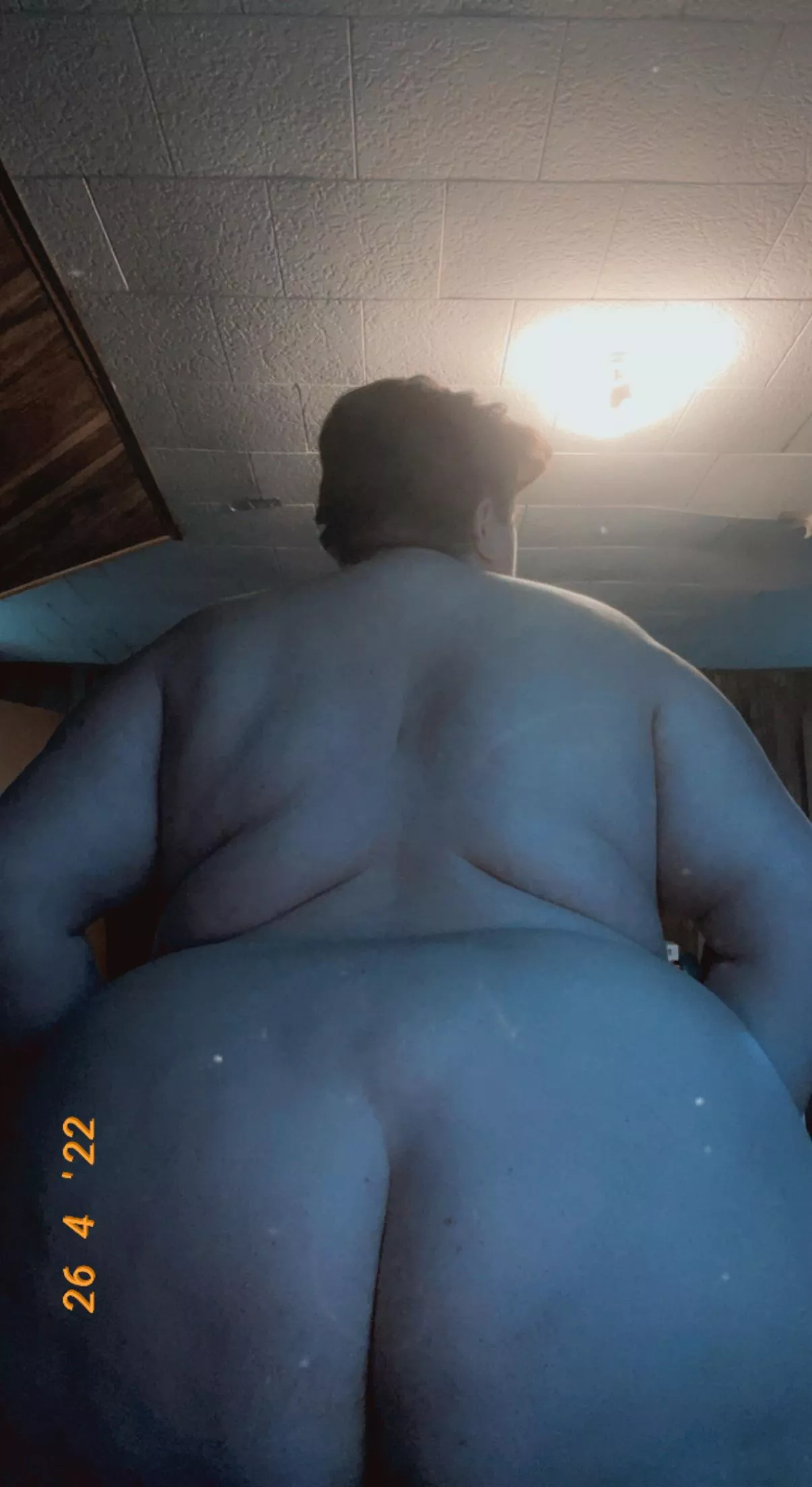 Fat. Whale. Love me 💜 posted by natswann1993