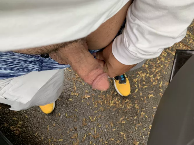 Favorite nature preserve stop off by fratlvr01